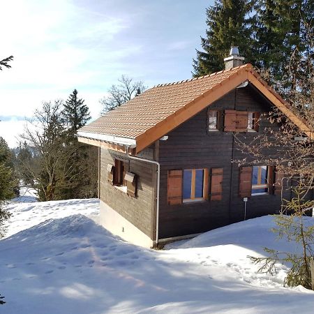 Chalet Chalet De La Vue Des Alpes By Interhome Exteriér fotografie