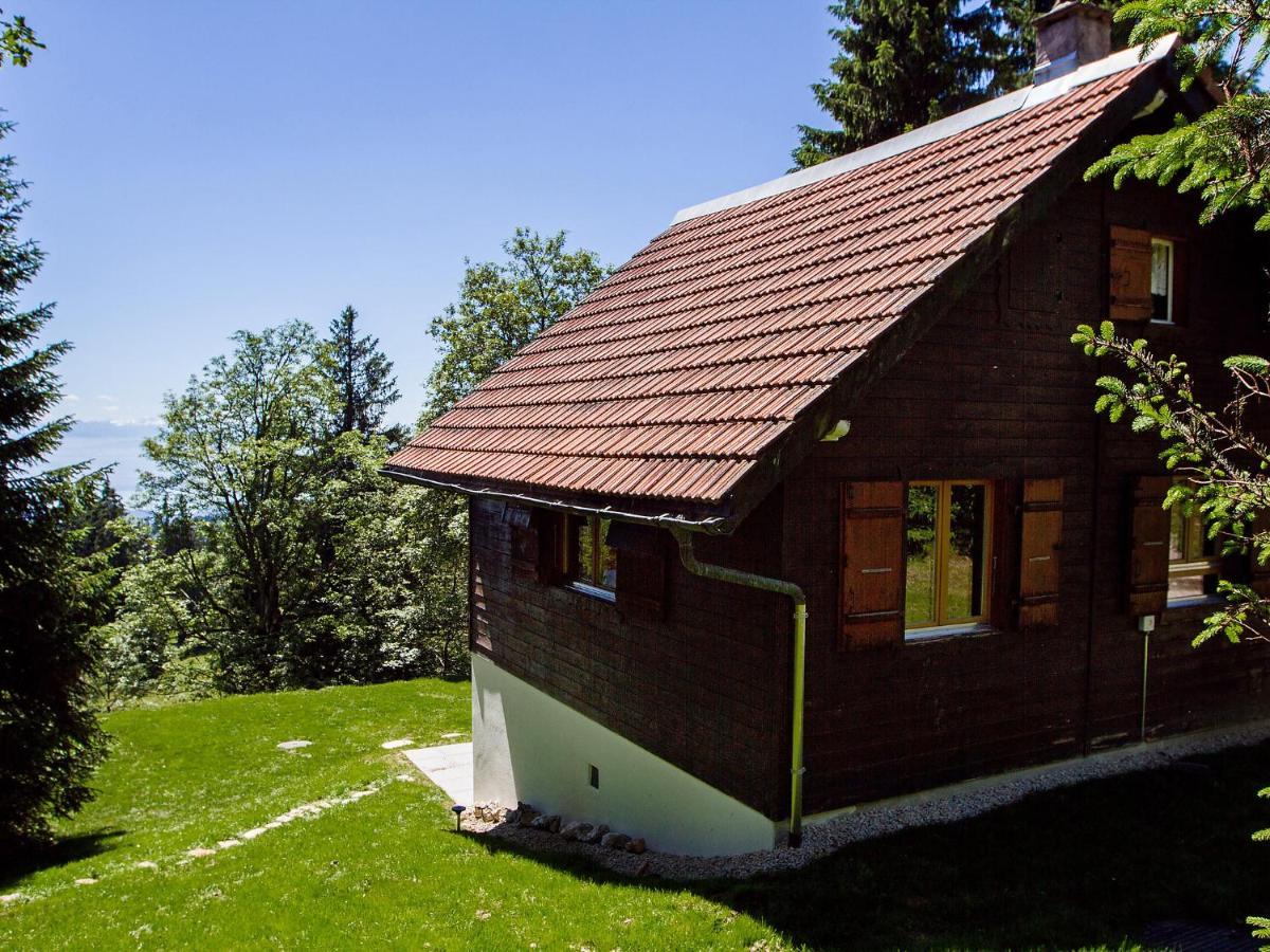 Chalet Chalet De La Vue Des Alpes By Interhome Exteriér fotografie